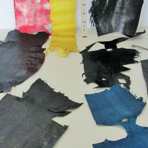 BUNDLE OF EXOTIC LIZARD SKINS AND SNAKESKIN - Picture 2 of 16